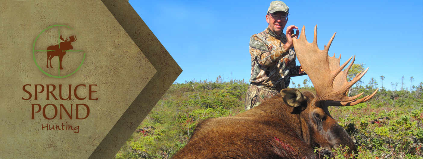 Hunting in Newfoundland Spruce Pond HuntingSpruce Pond Outfitters